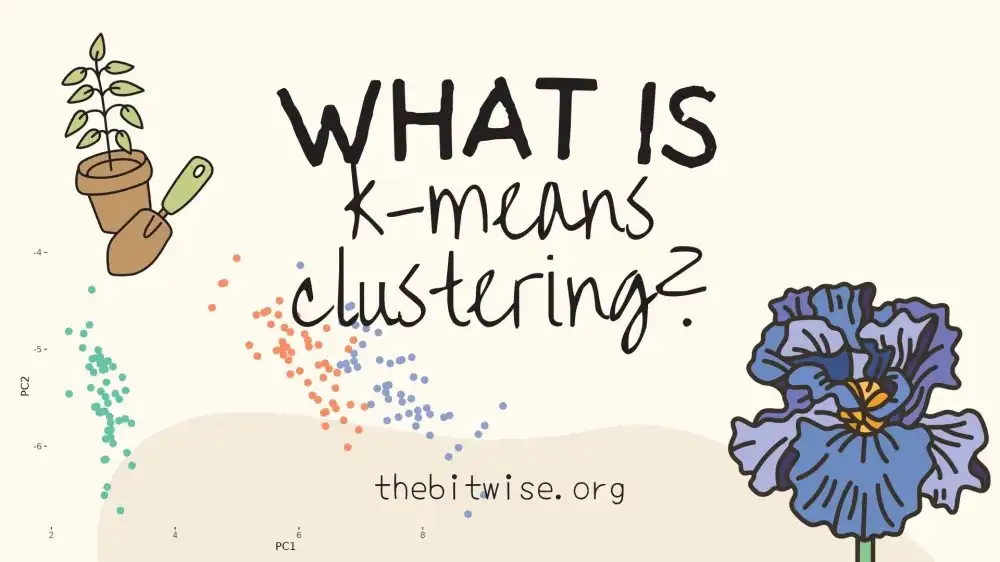 What is k-means Clustering?