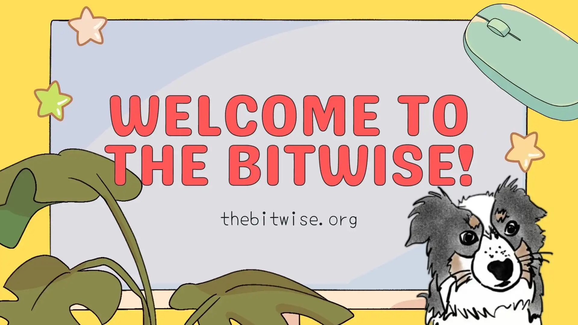 Welcome to The Bitwise!